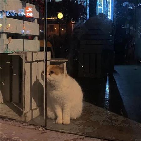 ins简约风的朋友圈背景图片，干净又好看
