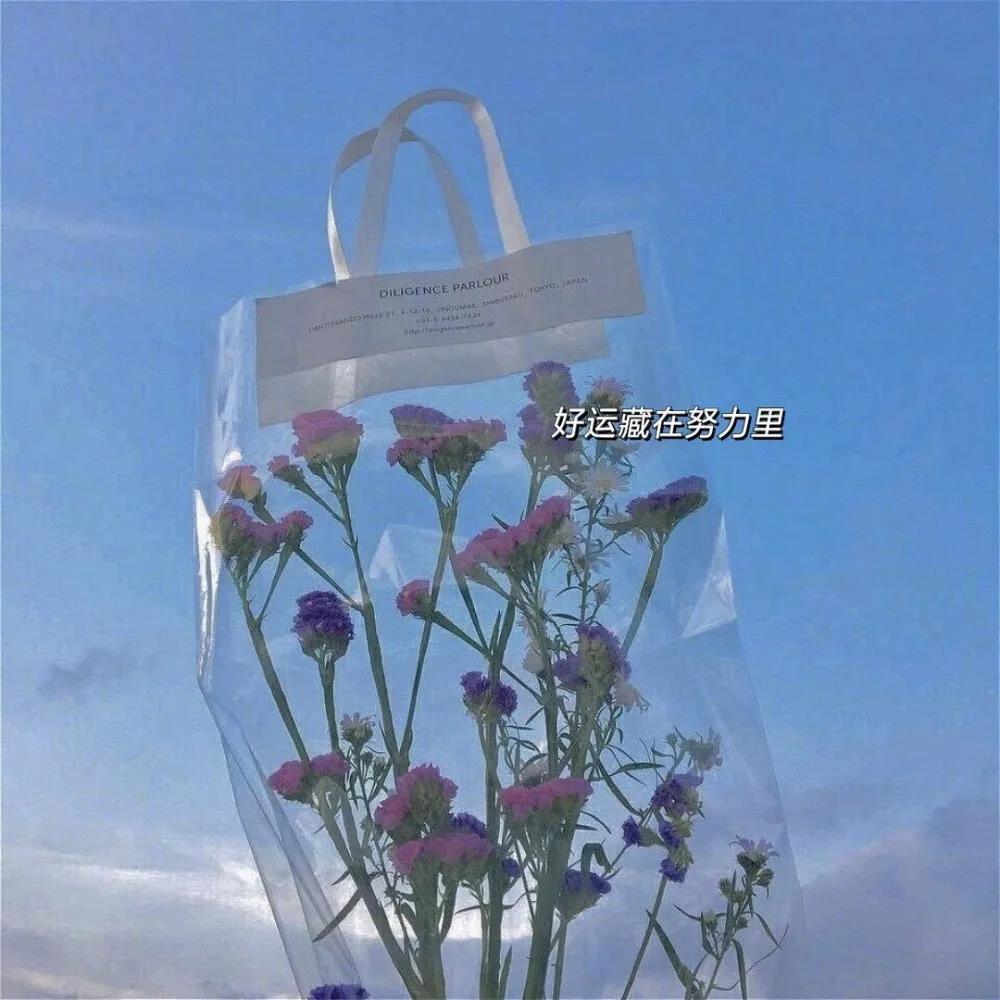 蓝色背景图片小清新治愈风|好运藏在努力里