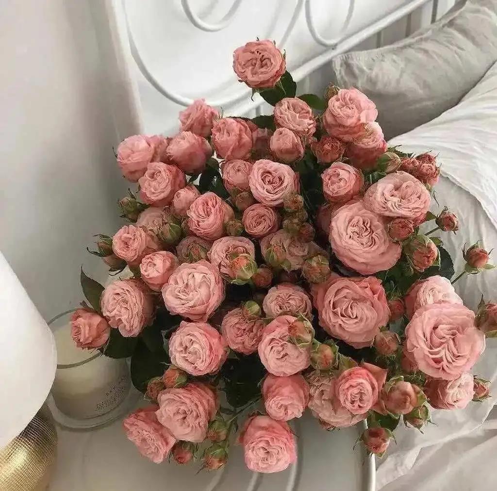 花的图片适合做头像|盛不盛开，花都是花