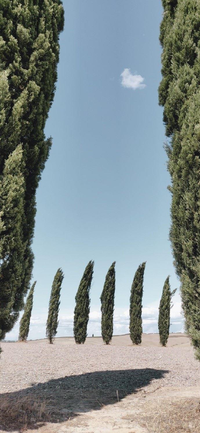 治愈人心的创意街头街景真实照片图片