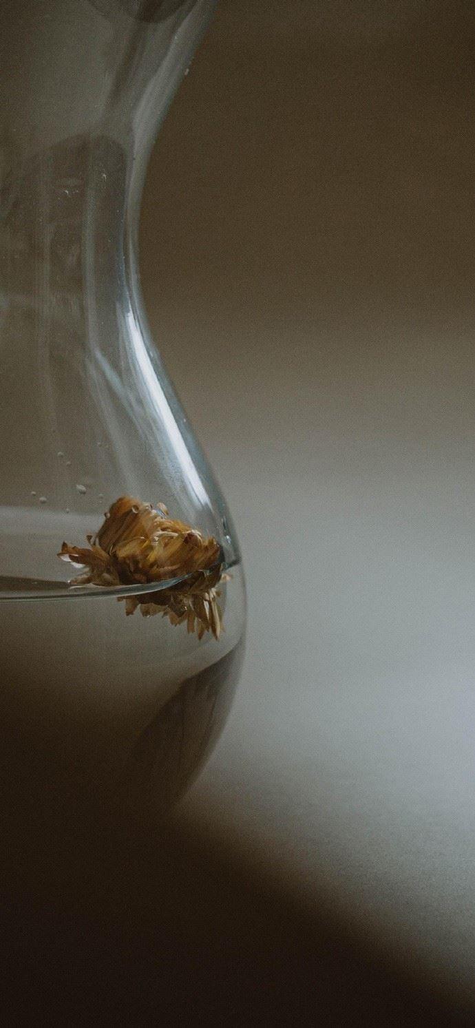 治愈人心的创意街头街景真实照片图片