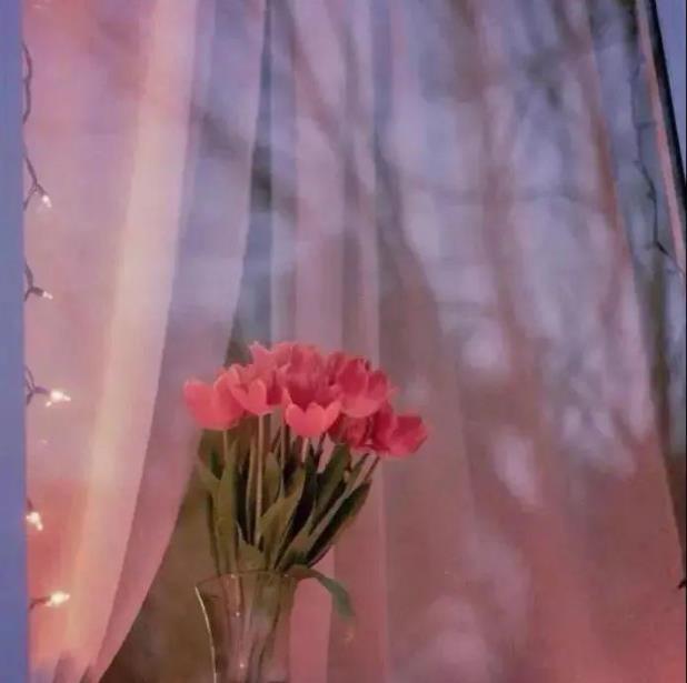 适合朋友圈高级又干净的温馨背景图片