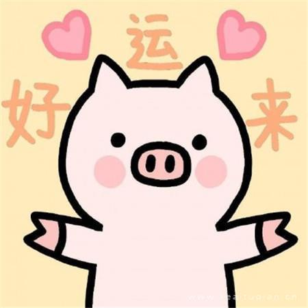 2021超可爱卡通猪大全可爱呆萌高清无水印图片