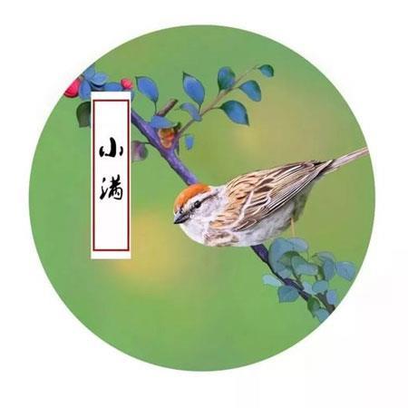 2021年适合发朋友圈的小满节气唯美好看素材图片
