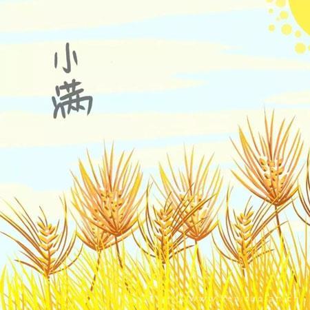 2021年适合发朋友圈的小满节气唯美好看素材图片