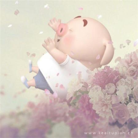 卡通可爱小猪唯美朋友圈壁纸图片
