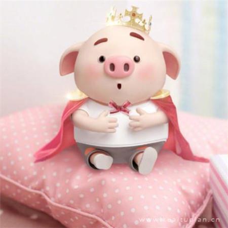 卡通可爱小猪唯美朋友圈壁纸图片