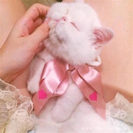 小仙女专属超萌超可爱的朋友圈背景图图片