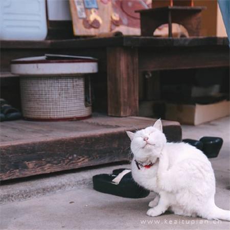 被治愈到的日常小美好朋友圈背景图片