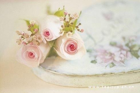 治愈唯美的书本饮品玫瑰花梦幻意境摄影图片