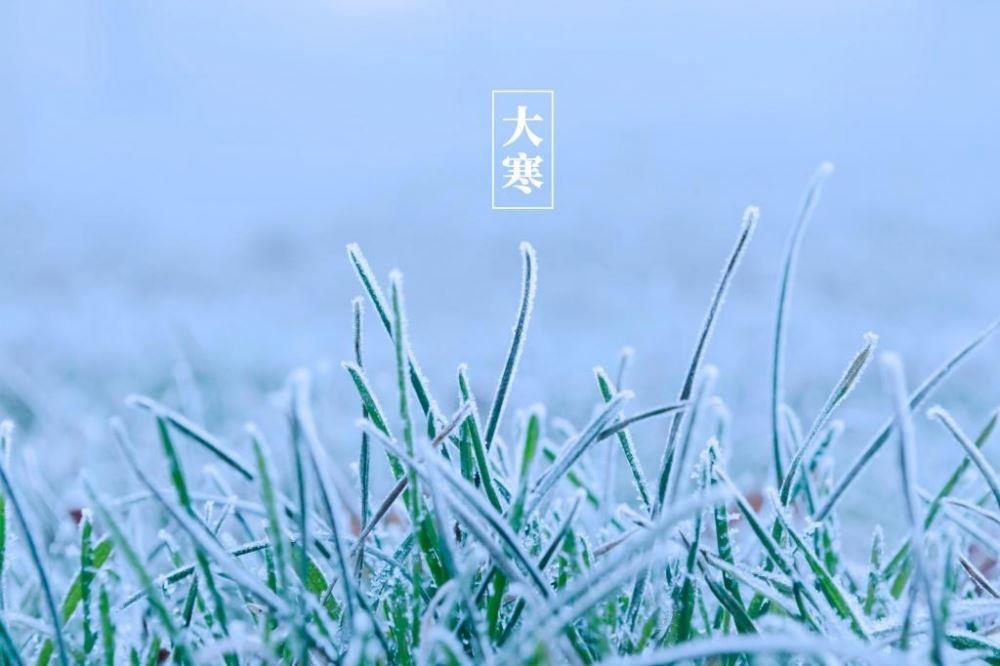 经典24节气大寒冬日雪景意境雪花落在树叶上高清图图片