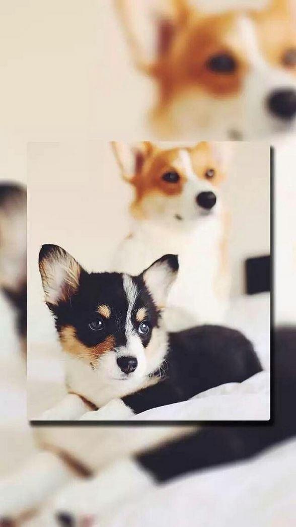 唯美好看的卡通动漫创意微信背景意境图片