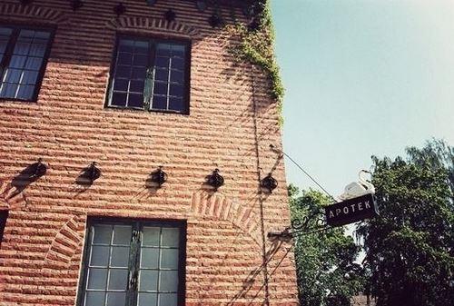 精选海边窗前阳光向日葵风景唯美高清图片