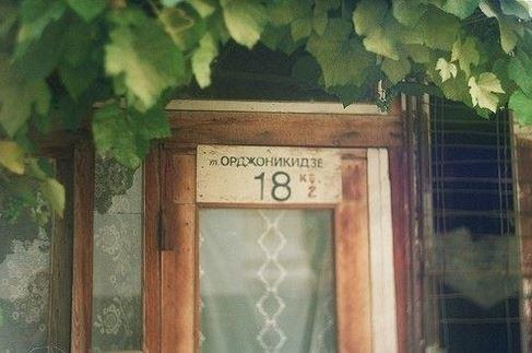 精选海边窗前阳光向日葵风景唯美高清图片