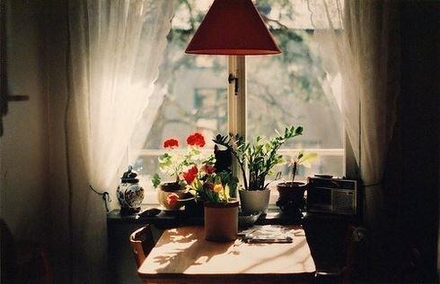 复古经典的午后阳光温暖文艺清新高清图片