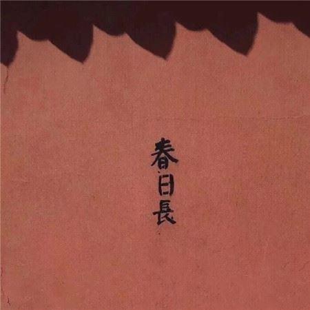 找到生活的小确幸-小清新物件图片