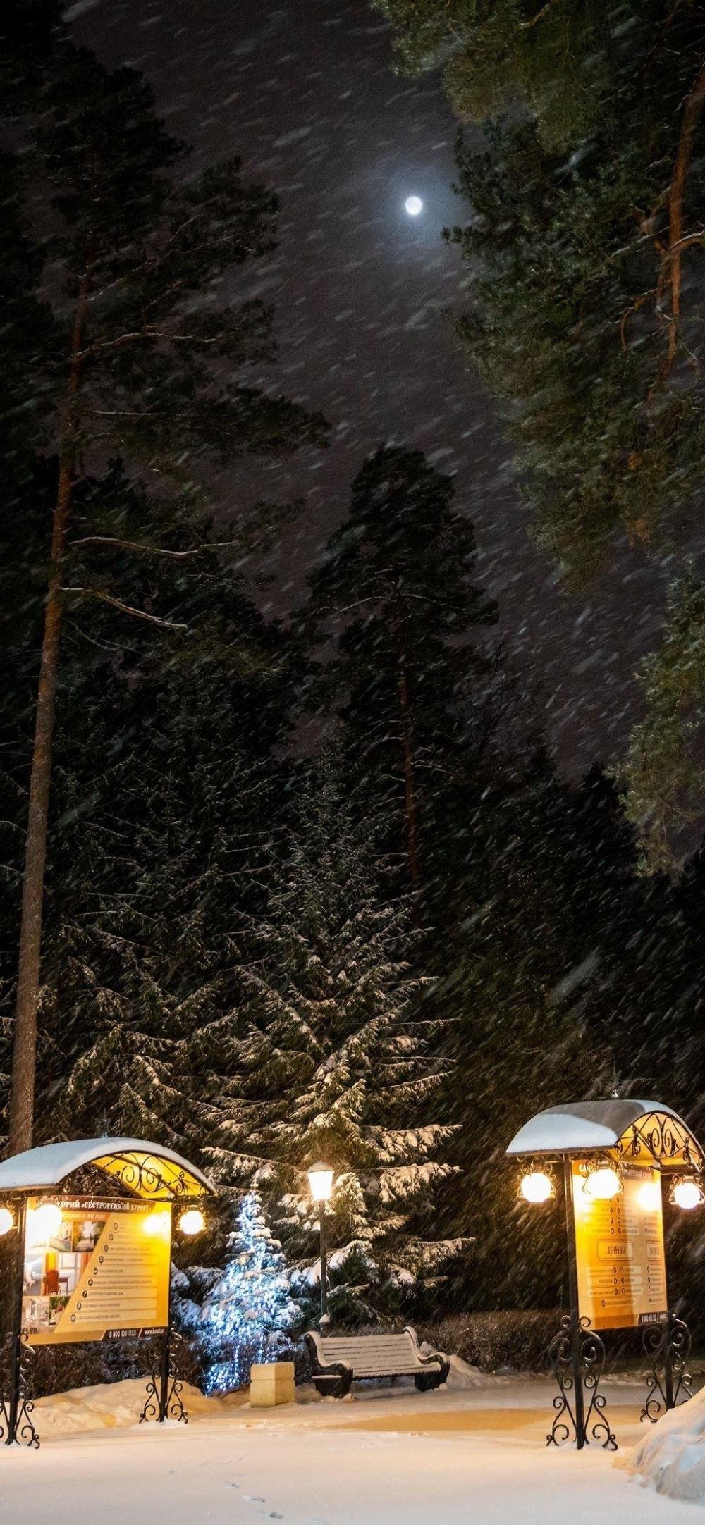 浪漫2021冬天大雪纷飞夜晚高清图片