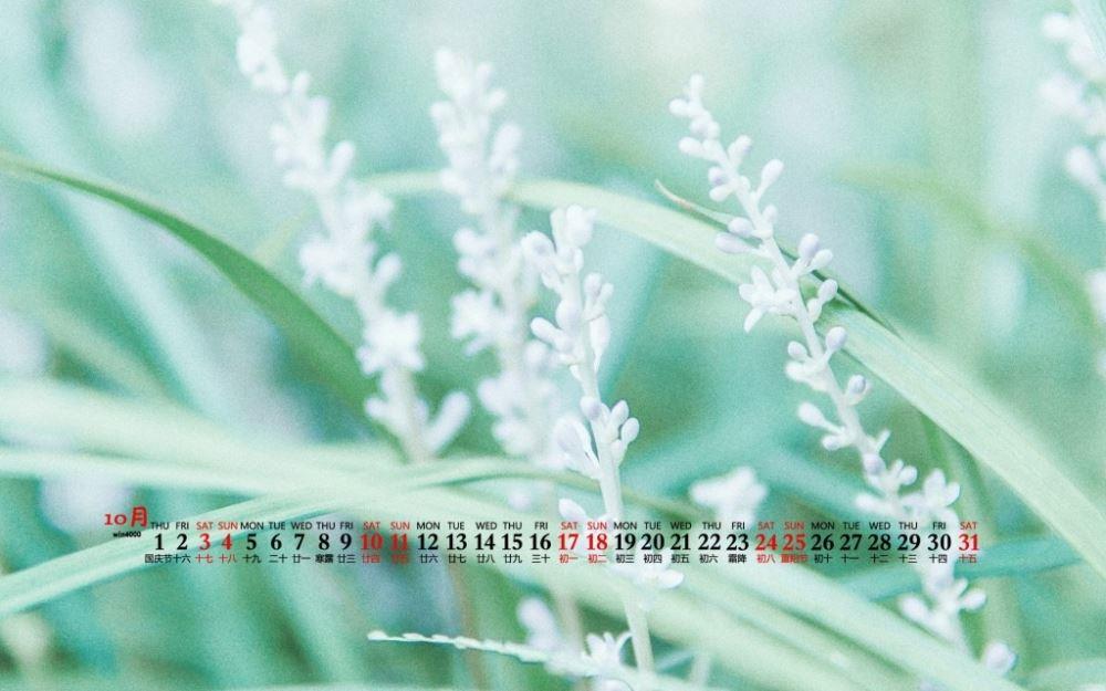 小清新绿色植物唯美日历图片