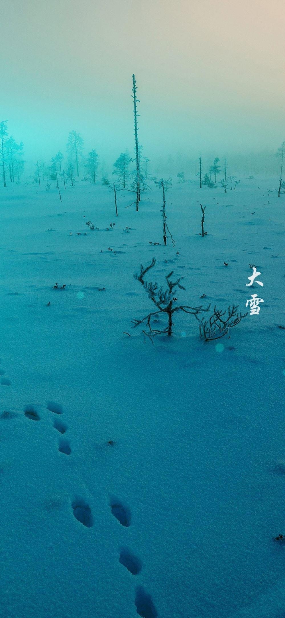 被大雪覆盖的唯美风景高清壁纸图片