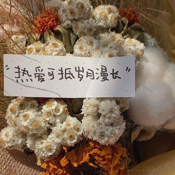 唯美好看的朋友圈背景唯美文字图片