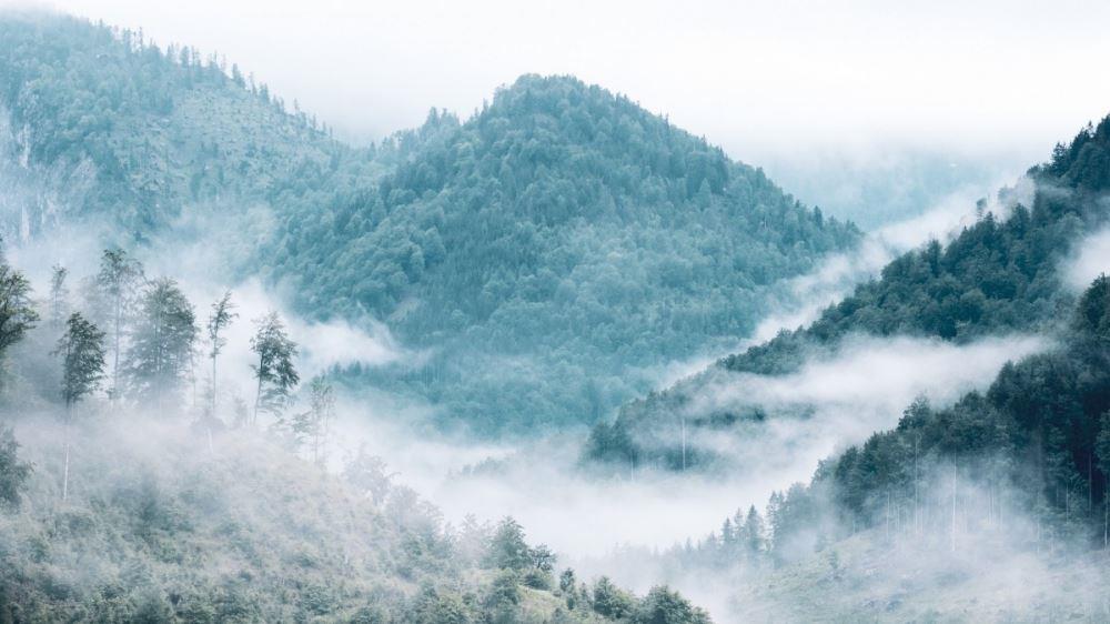 2021最新仙雾环绕大山的意境真实风景图片