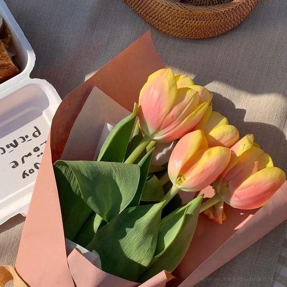 卡通治愈可爱好看的文字清新微信背景图片