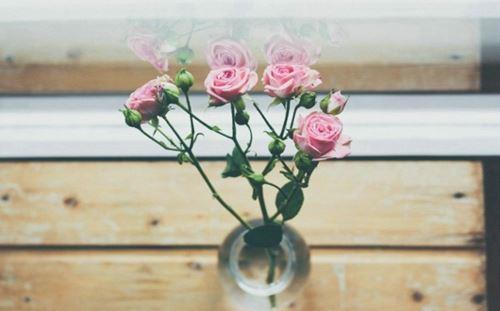 好看书香环境淡雅小花大全图片