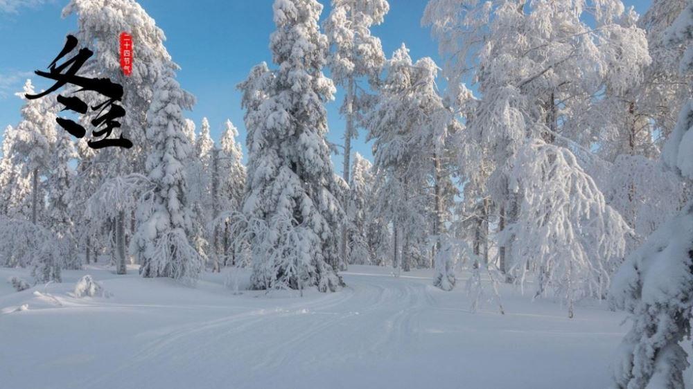 漂亮冬至时节养眼冰雪世界迷人风光图片