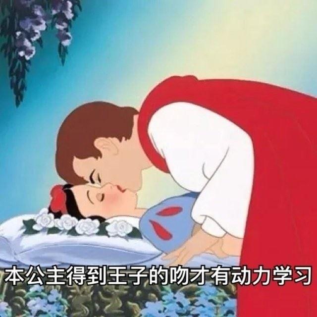 漂亮王子亲睡美人意境图片