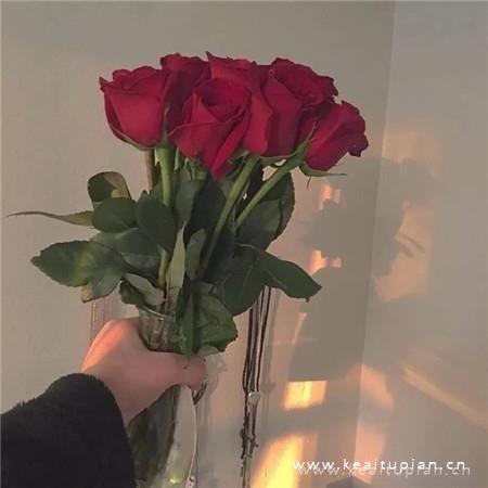 热门精选很有意境的高冷背景图图片