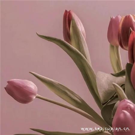 ins风唯美风景小清新图片大全