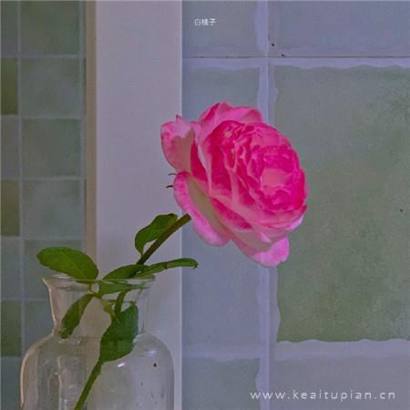 日常生活中的小美好·清新治愈唯美背景图片