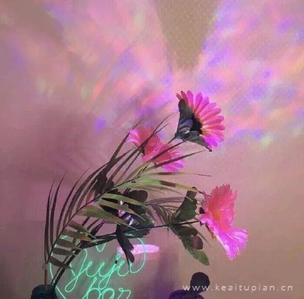 小女生最喜欢的粉色小清新唯美背景图片