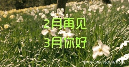 二月再见你好三月唯美背景壁纸图片