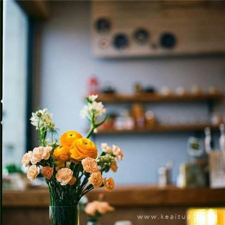 精选早晨阳光明媚的温馨励志高清图片