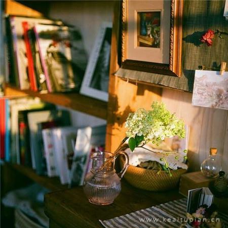 精选早晨阳光明媚的温馨励志高清图片