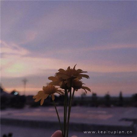 ins风唯美小清新风景高清图片大全