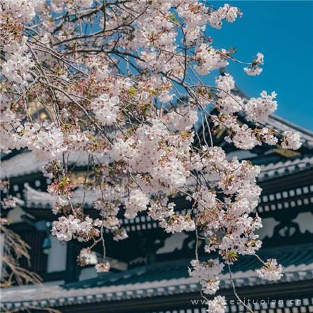 ins风唯美小清新风景高清图片大全