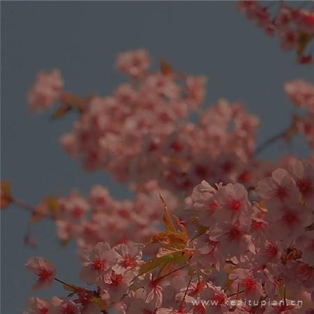 2021微信背景精选ins风小清新风景图片