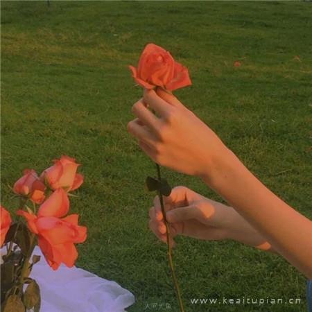 2021微信背景精选ins风小清新风景图片