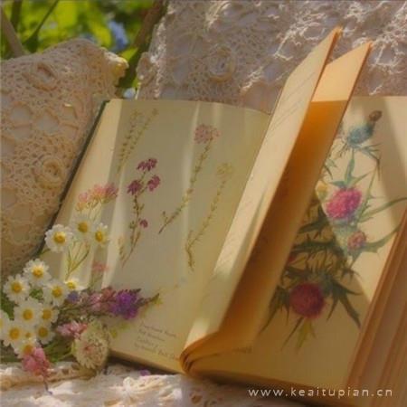 适合春天发朋友圈的浪漫清新图片