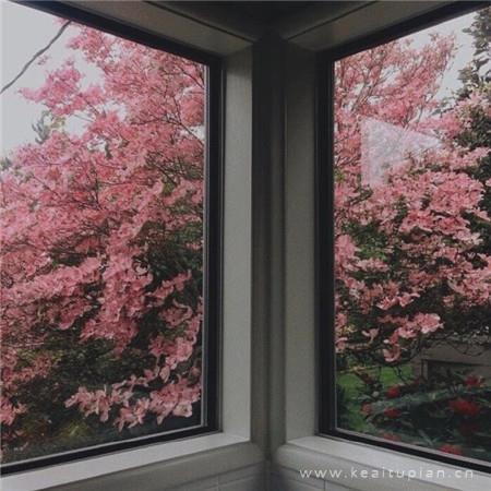 粉色风格微信状态唯美配图图片