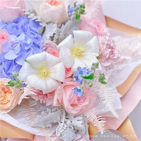 春暖花开九宫图高清图片大全