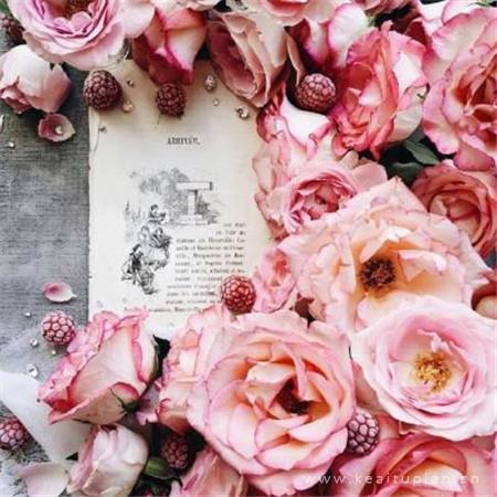 七夕节一纸情书玫瑰花图片大全