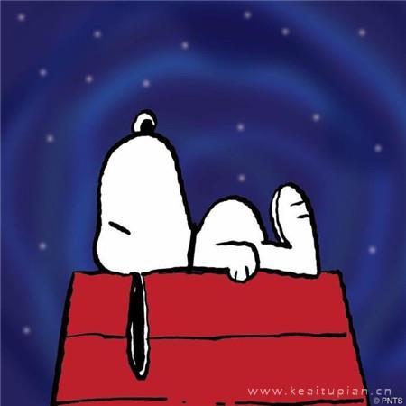 卡通动漫2021全新的晚安可爱高清背景图片