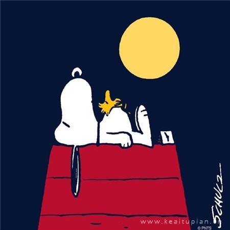 卡通动漫2021全新的晚安可爱高清背景图片