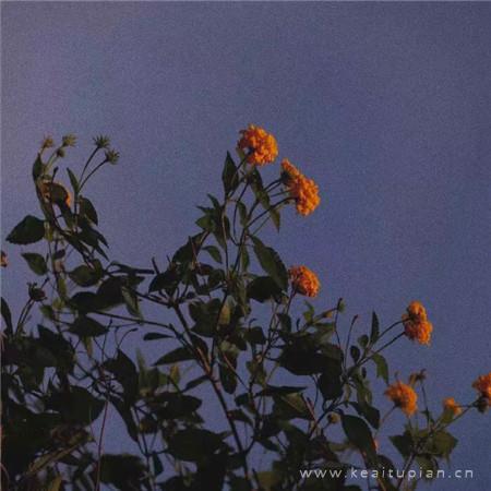 2021最新高级有质感的落日背景图片