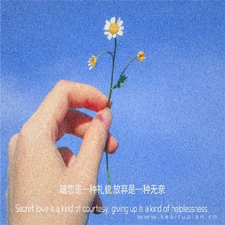 抖音最火唯美温柔朋友圈励志文字背景图片大全