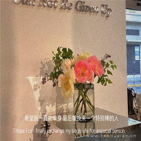 抖音最火唯美温柔朋友圈励志文字背景图片大全