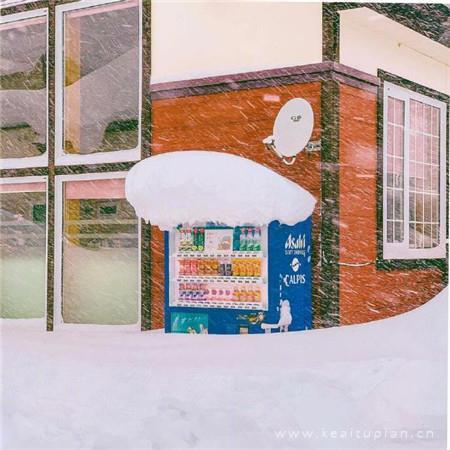 冬天的阳光和每天的你·唯美冬日雪景图片